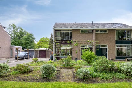 undefined main image