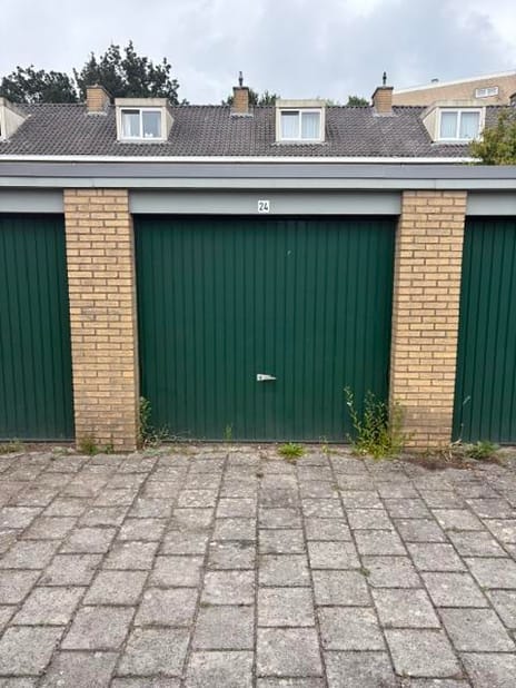 undefined main image