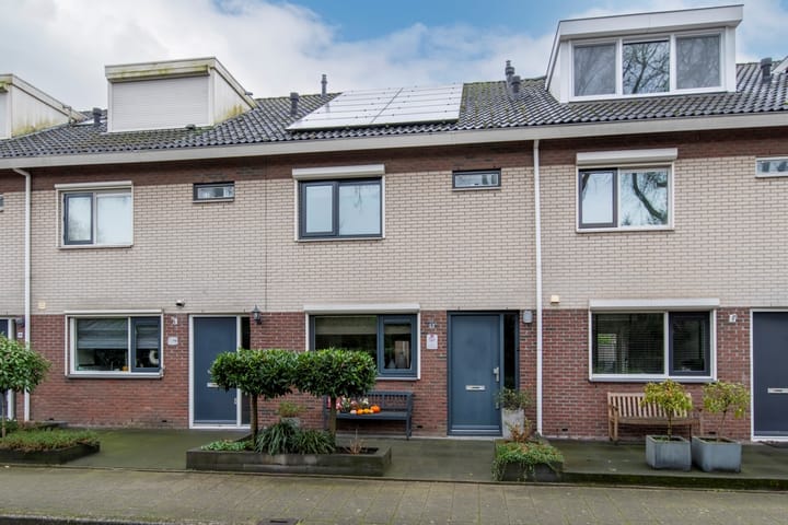 Vliegezwam 96 main image