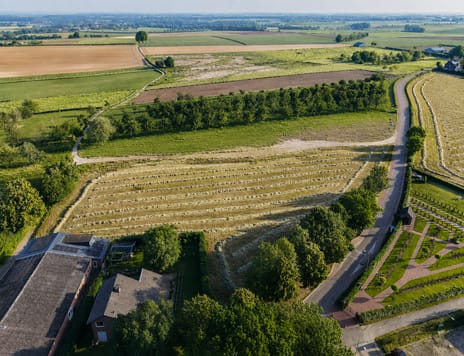 Bredeweg tertiary image