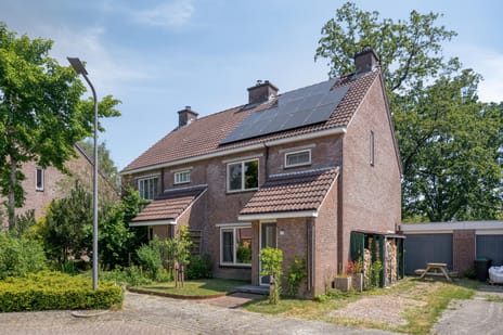 undefined main image