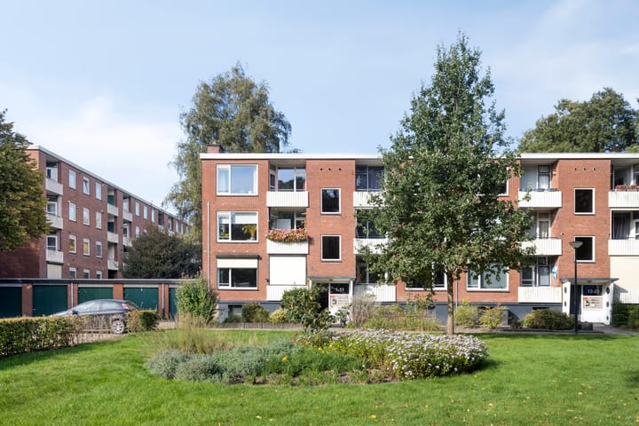 Noord 11 main image