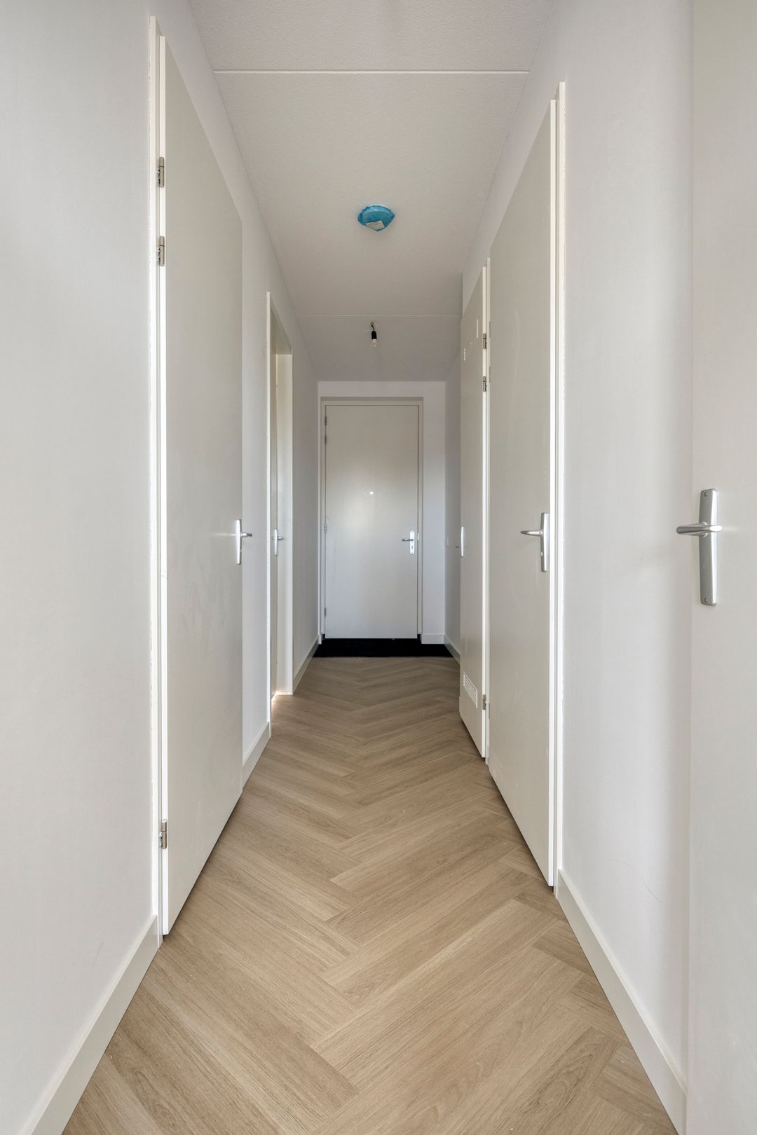 House Image 5
