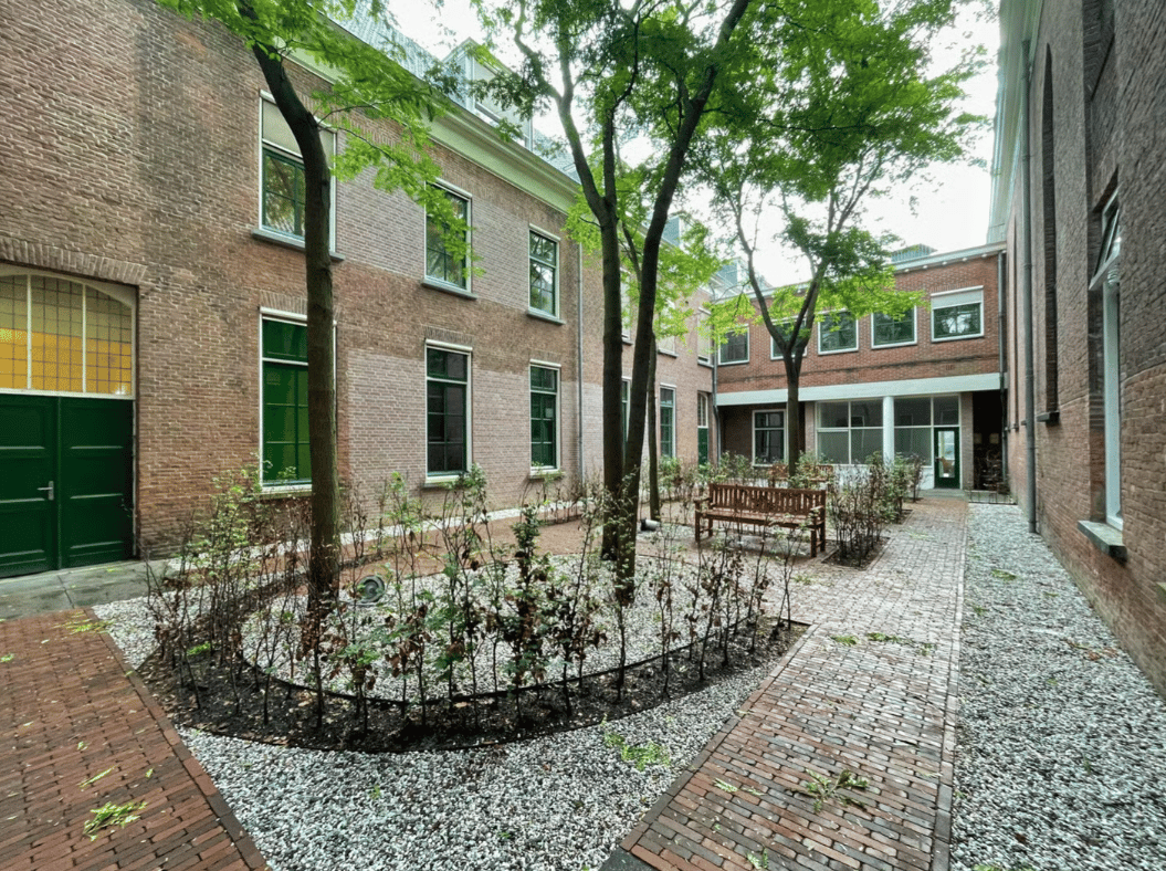 House Exterior