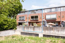 Afbeelding van Hanedoorn 4 - Tweede foto