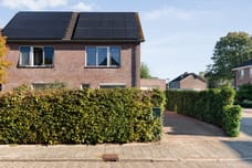 Afbeelding van Watersnip 2 - Tweede foto
