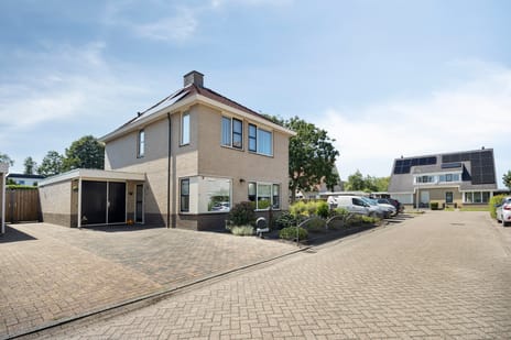 Andoorn 20 main image