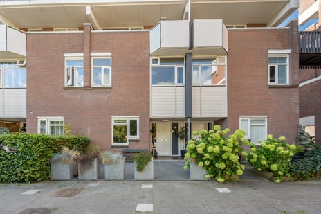 Hollandsch Diep 53 main image