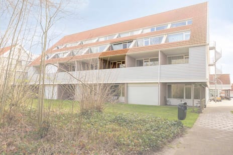 undefined main image
