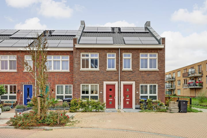 Korenbloem 54 main image