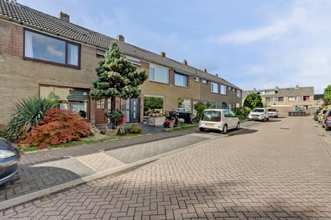 Moerbeistraat 5 main image