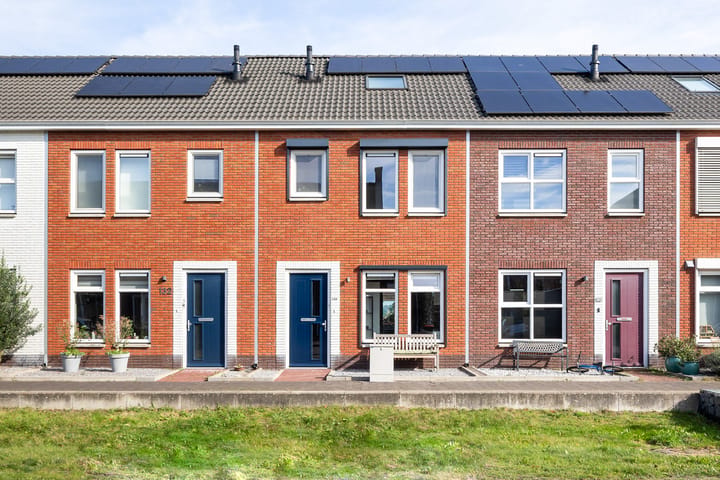 Ridderzwam 130 main image