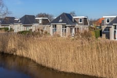 Afbeelding van Kluut 2 - Tweede foto