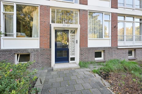 Afbeelding van Spinozalaan 217 - Derde foto