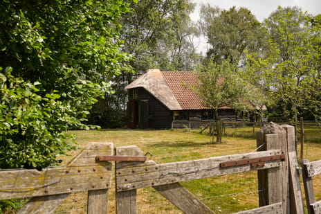 Breeschoten 3 tertiary image