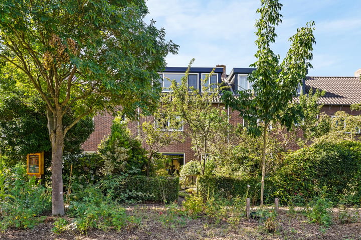 De Mamuchetweg 3 main image