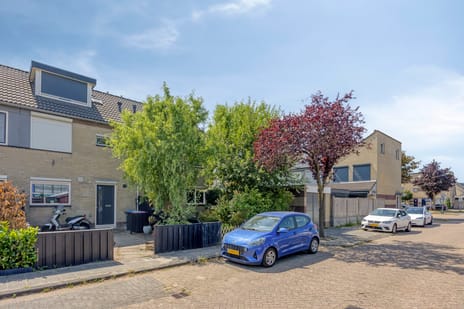 undefined main image