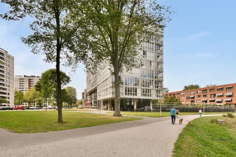 Afbeelding van Oeverpad 592 - Tweede foto