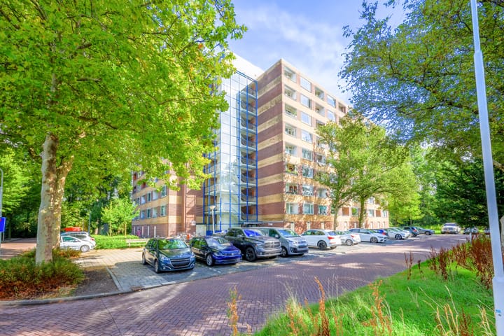 Fluitekruidweg 135 main image