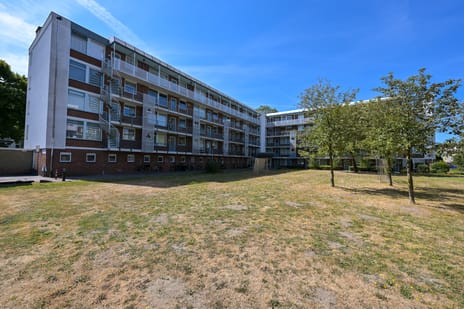 Leverkruidweg 293 main image