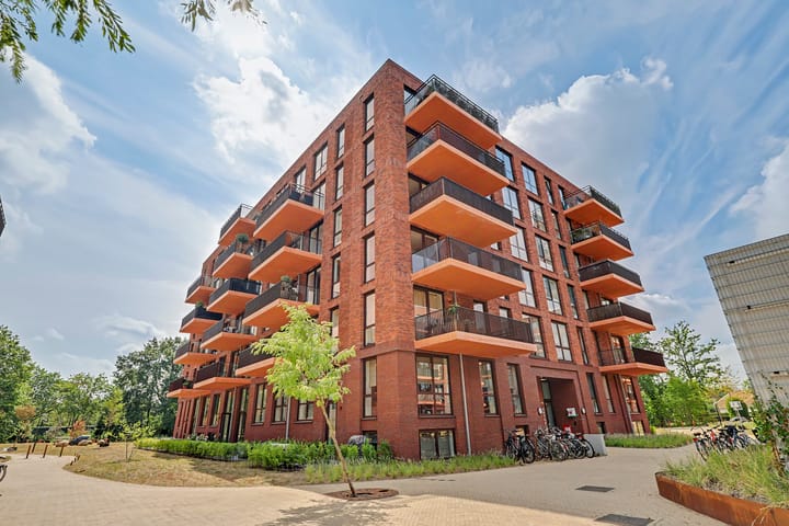Cosunpark 3-B3 main image