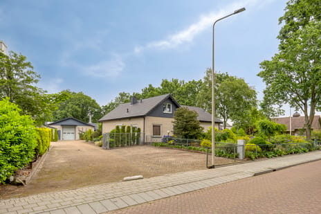 undefined main image
