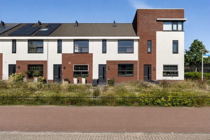 Heidevlinder 48 main image