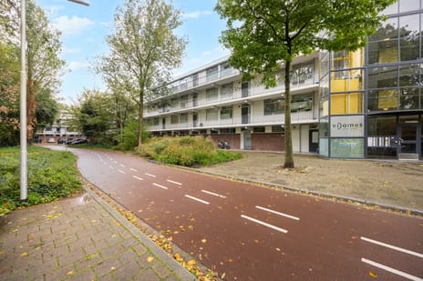 Pijperring 181