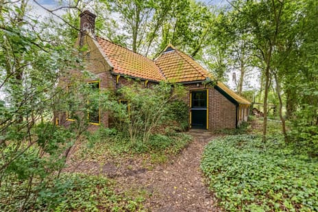 undefined main image