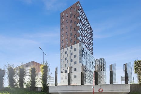 undefined main image