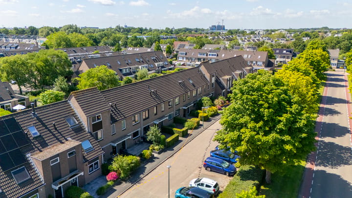 Domisstraat 19 main image