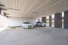 Image of Dotterbloem 9 - Third image