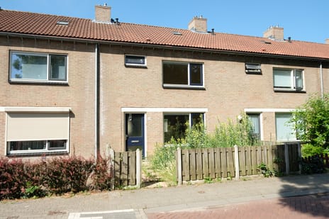 undefined main image