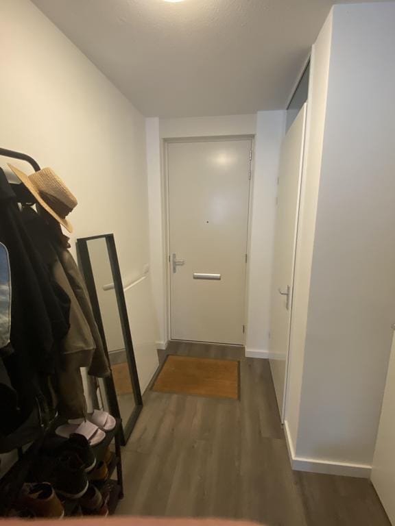 House Image 2