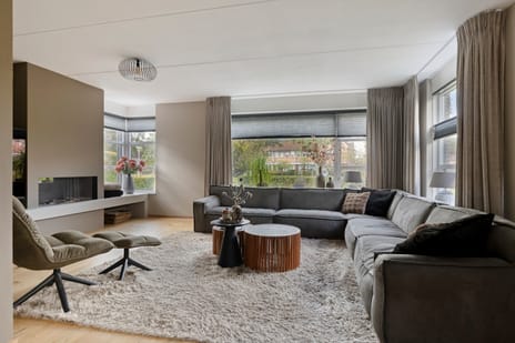 Afbeelding van Valeriaan 37 - Derde foto