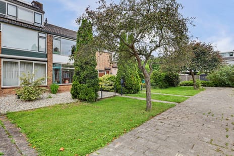 undefined main image