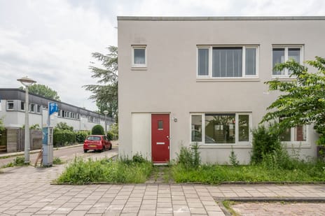 undefined main image