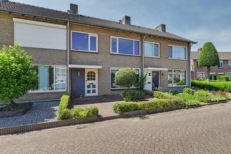 undefined main image