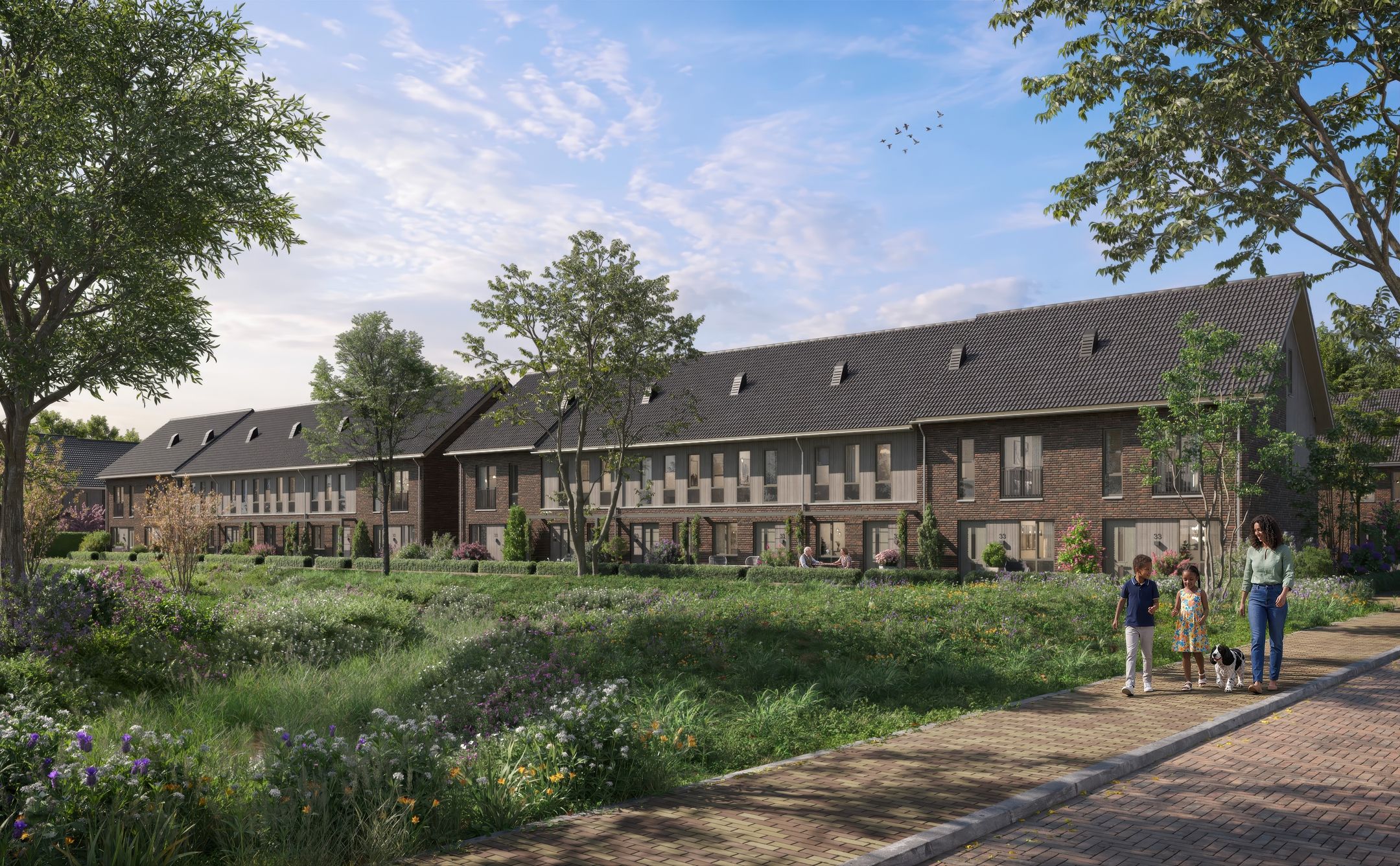 Foto 3 van DEBUUT -  Fase 1