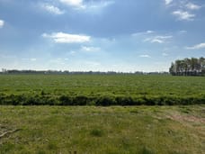 Image of Veenschapsweg 41 - Third image
