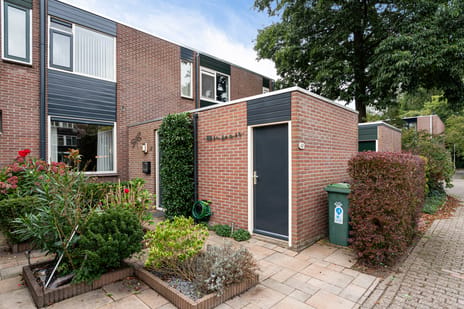 César Franckrode 47 main image