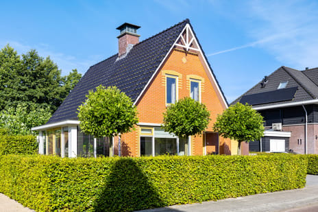 De Koppel Paarden 4 tertiary image