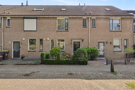 undefined main image