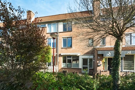 Olsterveste 4 main image