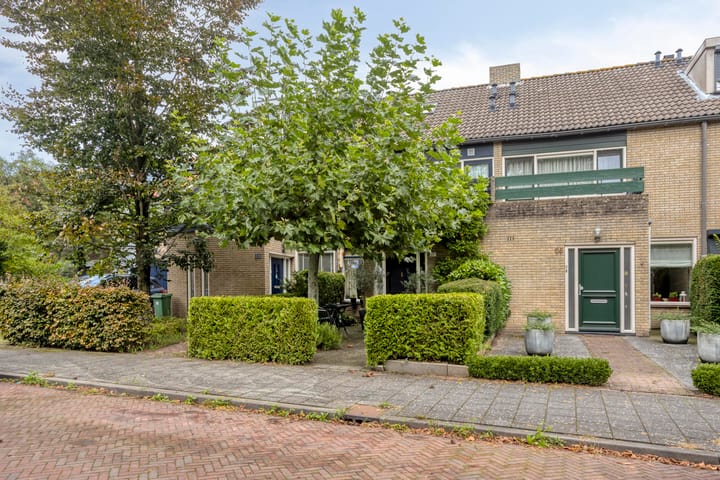 Amerongenstraat 33-BIS main image