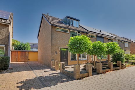 undefined main image
