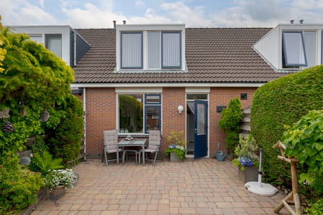 Koekoeksbloem 10 tertiary image