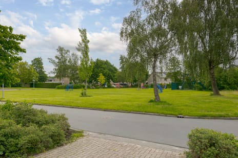 Koekoeksbloem 10 secondary image