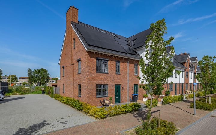 Honingbij 31-A main image
