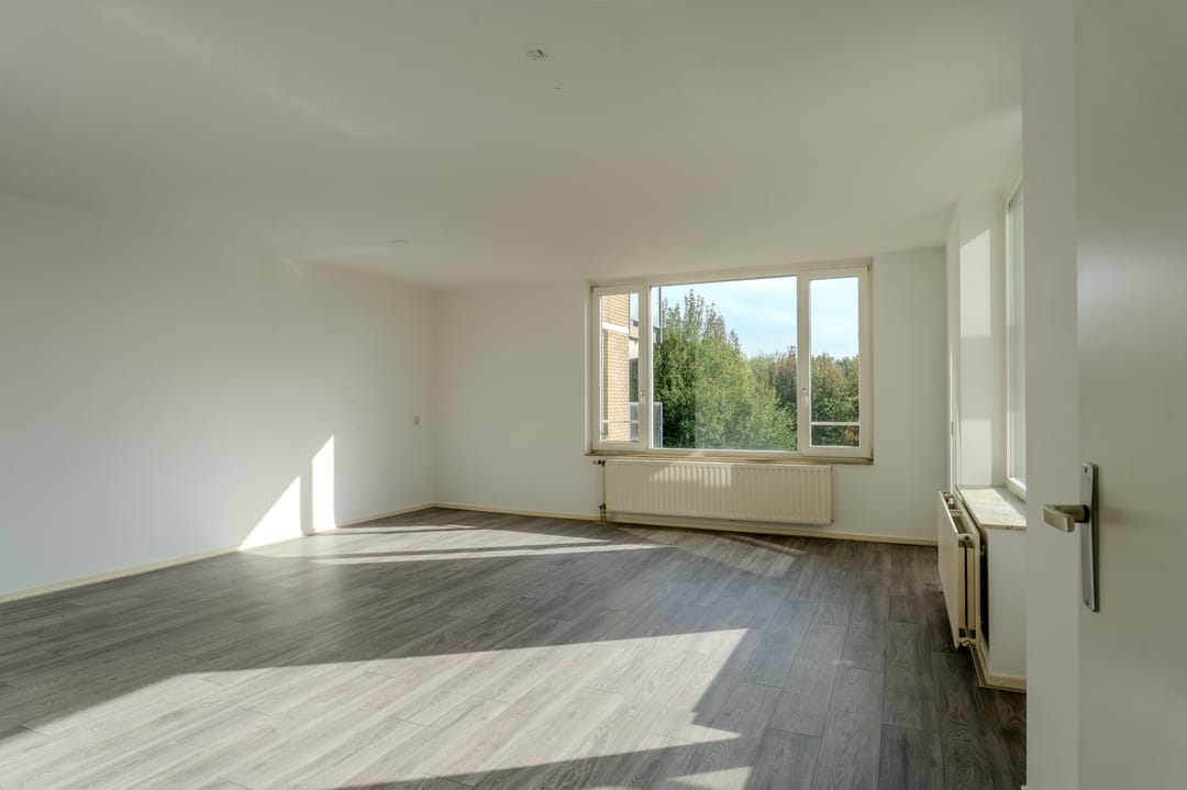 House Image 3